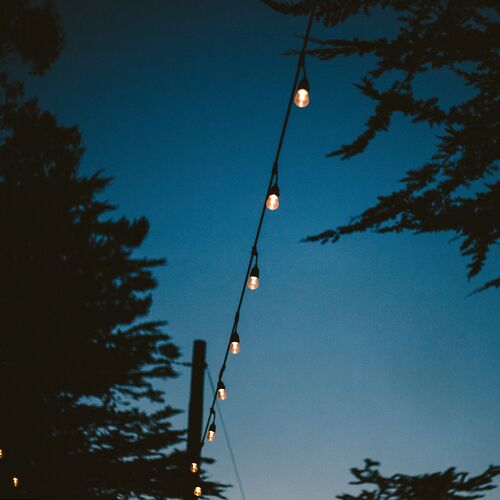 Caleb 15-Pc String Lights, Black 3 Caleb 15-Pc String Lights, Black