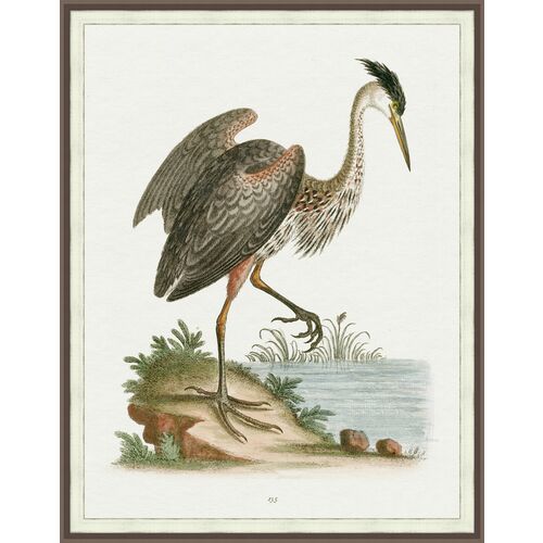 Heron Study 1 1 Heron Study 1