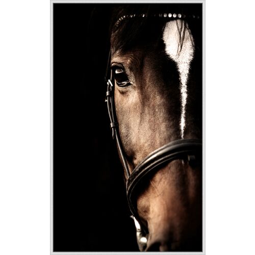 Stallion 1 Stallion