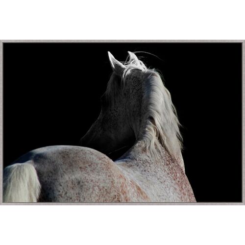 Studio Objet, Shadowed Stallion 1 Studio Objet, Shadowed Stallion