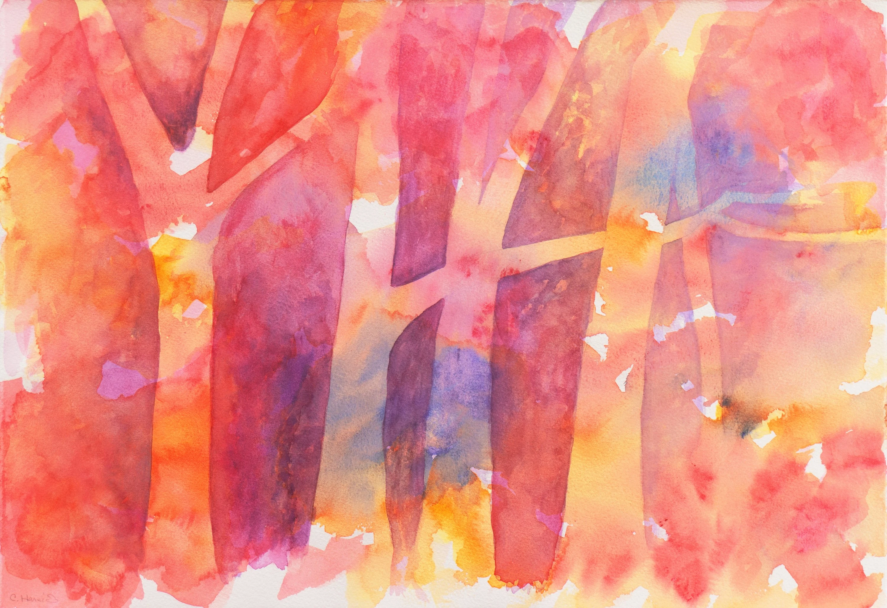 Sunset Trees by Catherine Hareid 1 Sunset Trees by Catherine Hareid