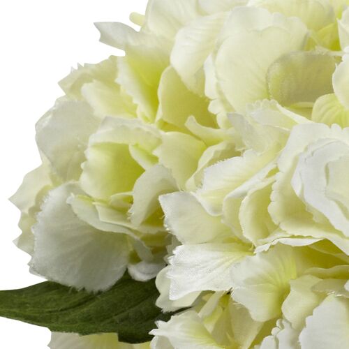 Blooming Hydrangea with Vase 2 Blooming Hydrangea with Vase